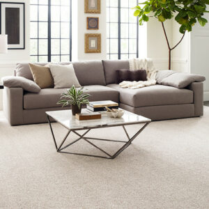 Living room flooring | Ambassador Flooring