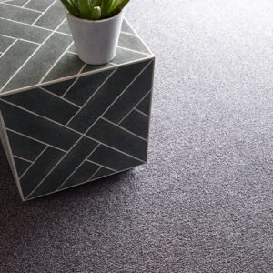 Grey Carpet flooring | Ambassador Flooring