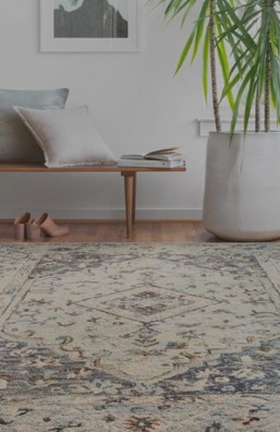 Loloi - Area Rugs | Ambassador Flooring