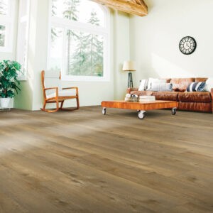 Spacious living room | Ambassador Flooring