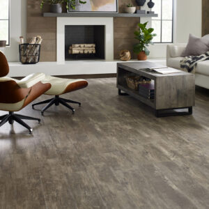 Paramount Plus flooring | Ambassador Flooring