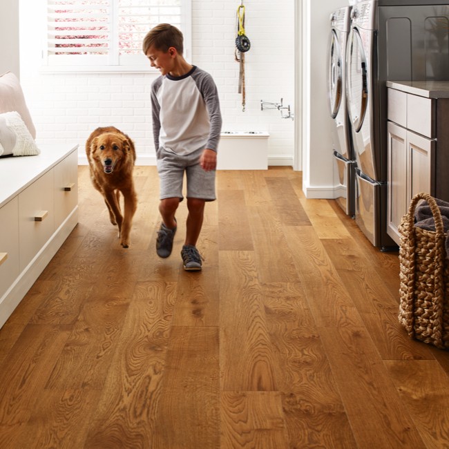 Shaw Flooring luxury vinyl | Ambassador Flooring