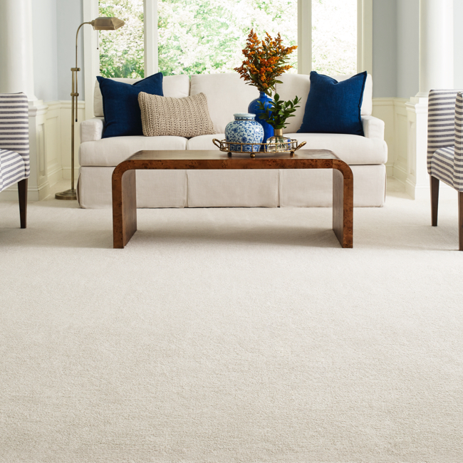 shaw carpet | Ambassador Flooring