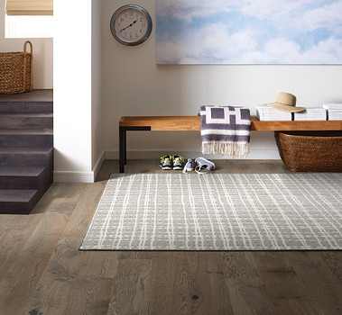 Carpet flooring | Ambassador Mid-West Floors