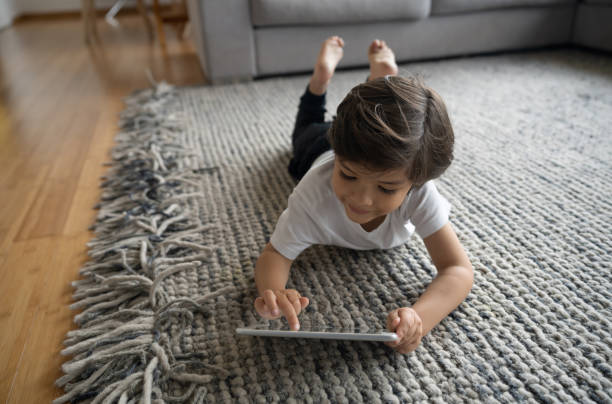 Area Rug | Ambassador Flooring