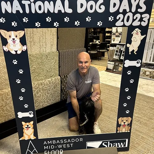 National dog days | Ambassador Flooring
