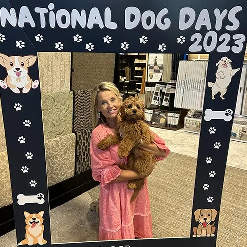National dog days | Ambassador Flooring