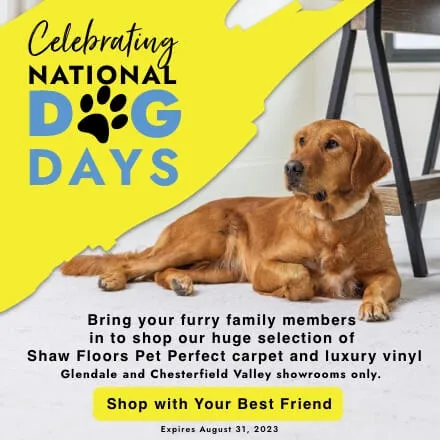National dog days | Ambassador Flooring
