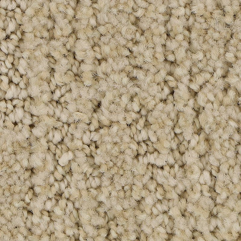 Carpet Samples | Ambassador Flooring