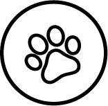 Pet Stains Icon