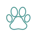 Pet Friendly Icon | Ambassador Flooring