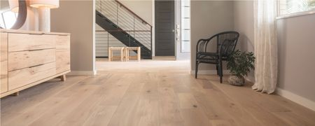 Art of Floor Transitions for a Cohesive Home Design | Ambassador Flooring