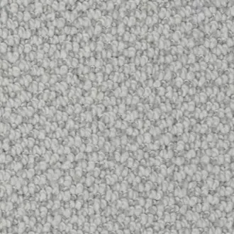 Dixie-Carpet-loop-swatch Carpet Swatch | Ambassador Flooring