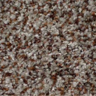 Dixie carpet texture | Ambassador Flooring