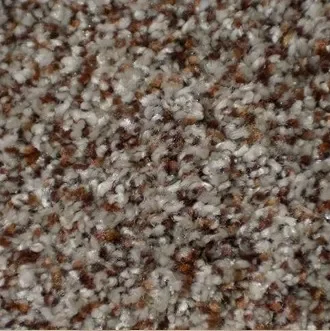Dixie-carpet-texture-swatch Carpet Swatch | Ambassador Flooring