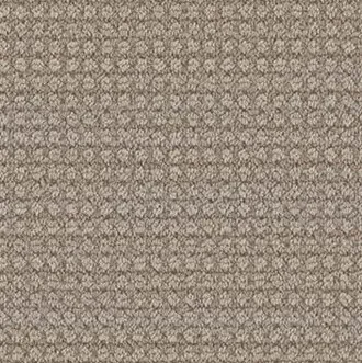 Dreamweaver-carpet-swatch Carpet Swatch | Ambassador Flooring